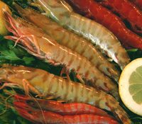 marisco-diverso-2009-1425895501-jpg