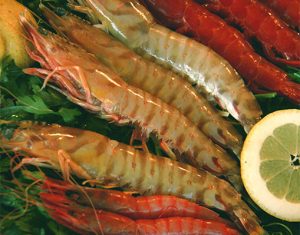 marisco-diverso-2009-1425895501-jpg