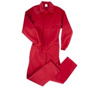 mono-celilla-rojo-1425974147-jpg