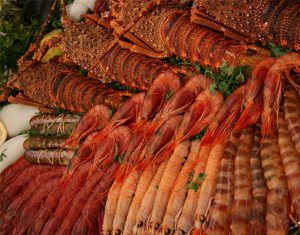 sea-food-product-1-1425895569-jpg
